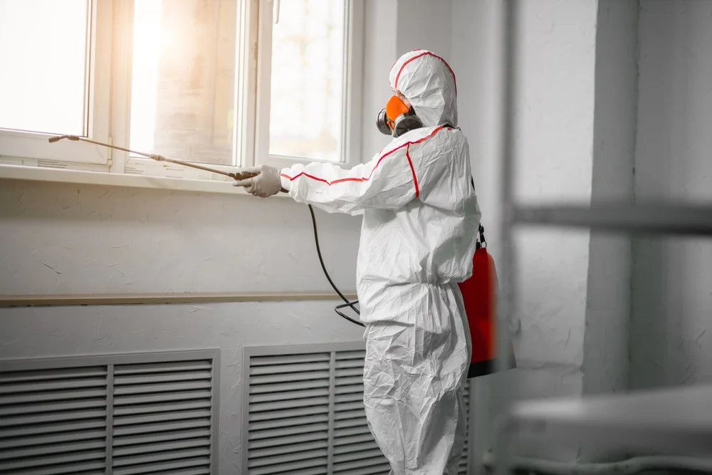 Professional mold remediation services in Unity, ME